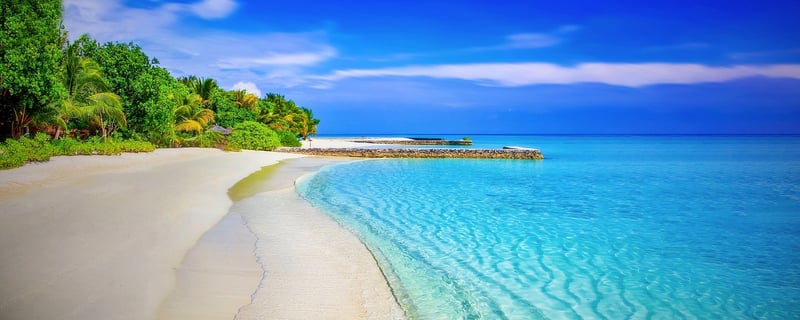 Tropical Beach